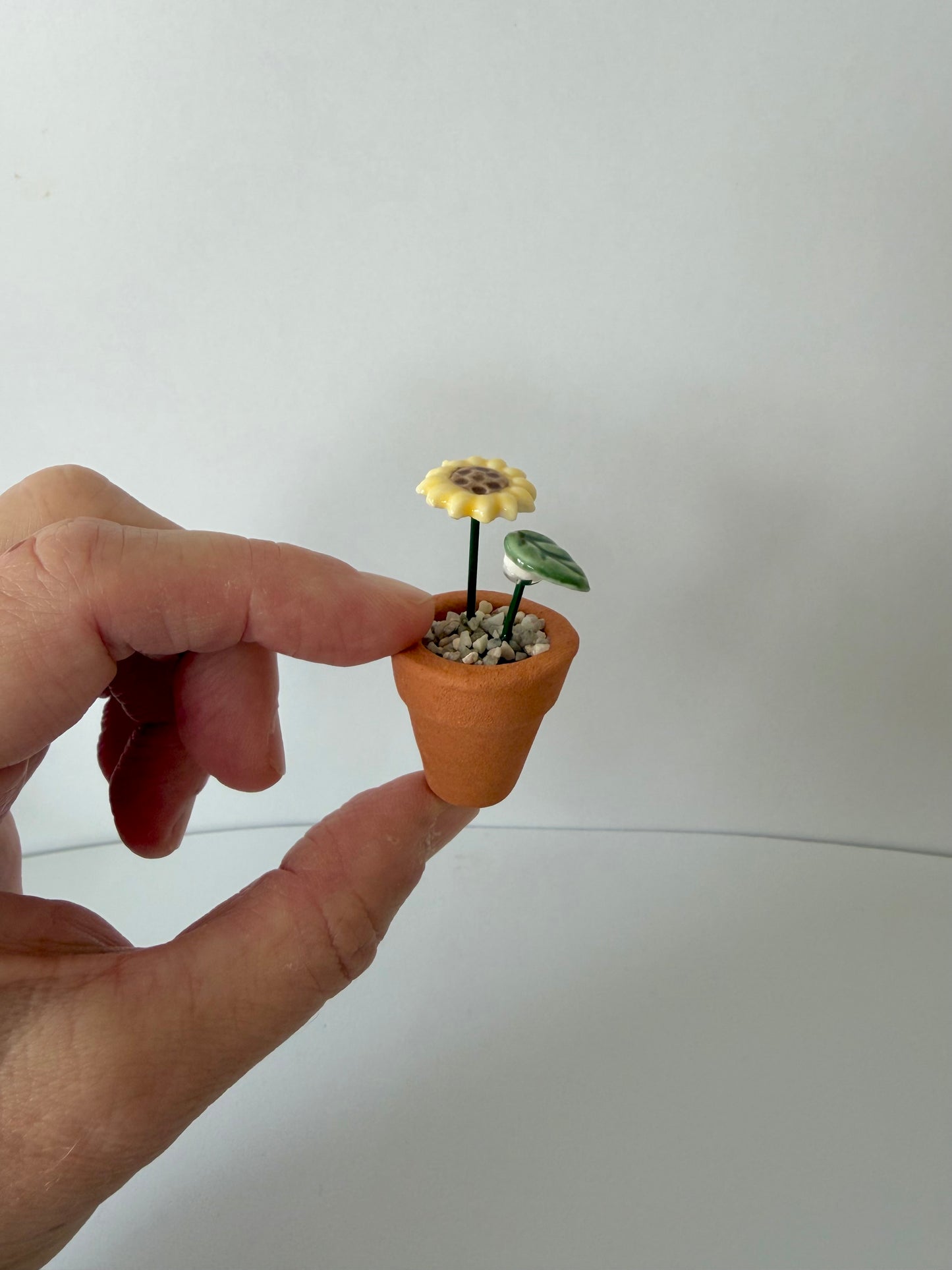 Sunflower Mini Flower Pot