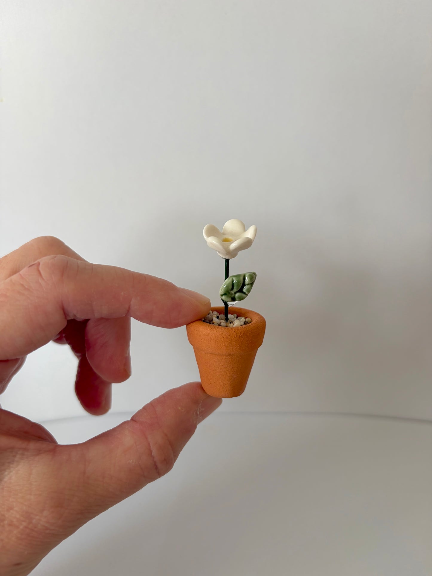 Daisy Mini Flower Pot