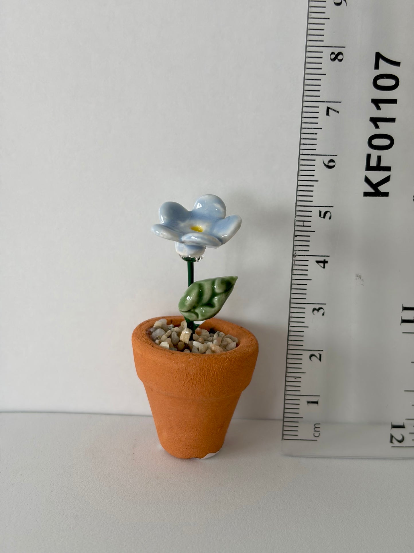Forget-Me-Not Mini Flower Pot