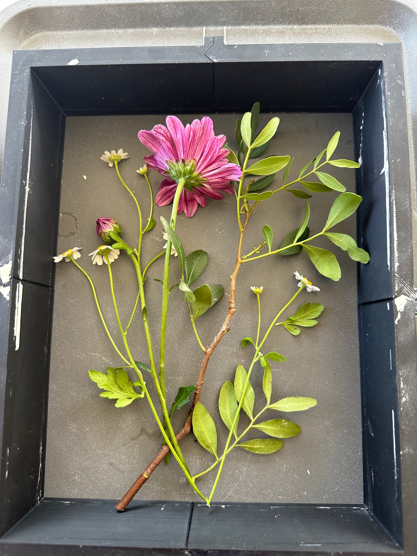 Botanical Plaster Cast Workshop