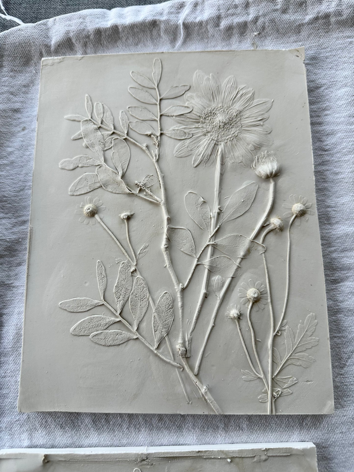 Botanical Plaster Cast Workshop