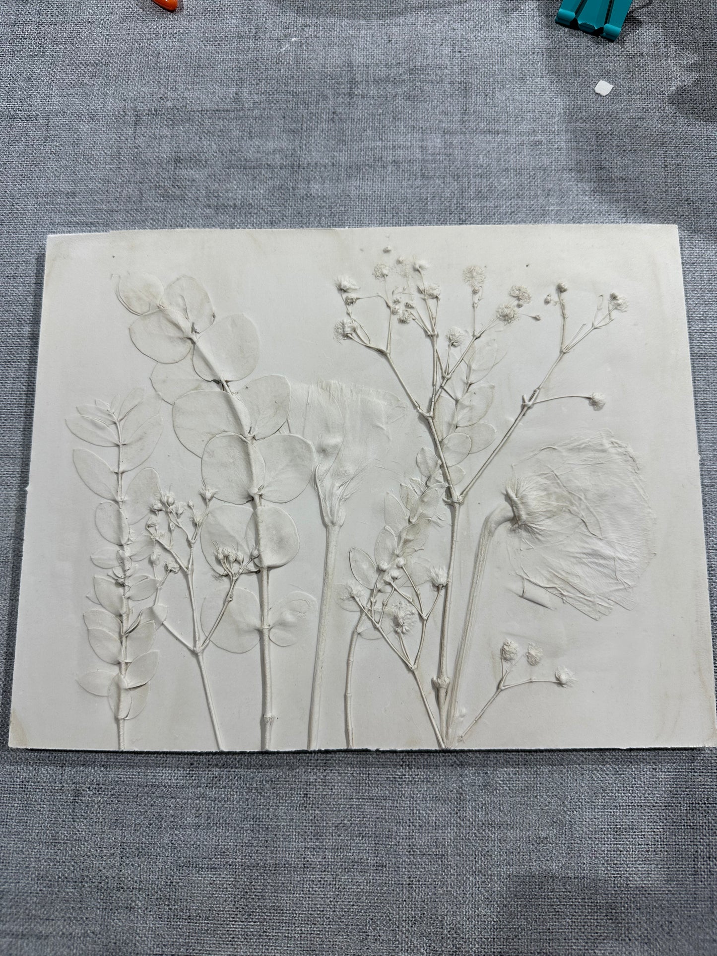 Botanical Plaster Cast Workshop