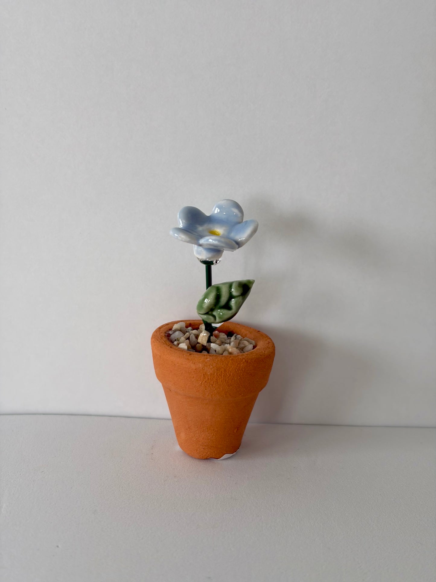 Forget-Me-Not Mini Flower Pot