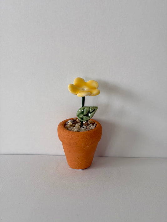 Yellow Mini Flower Pot