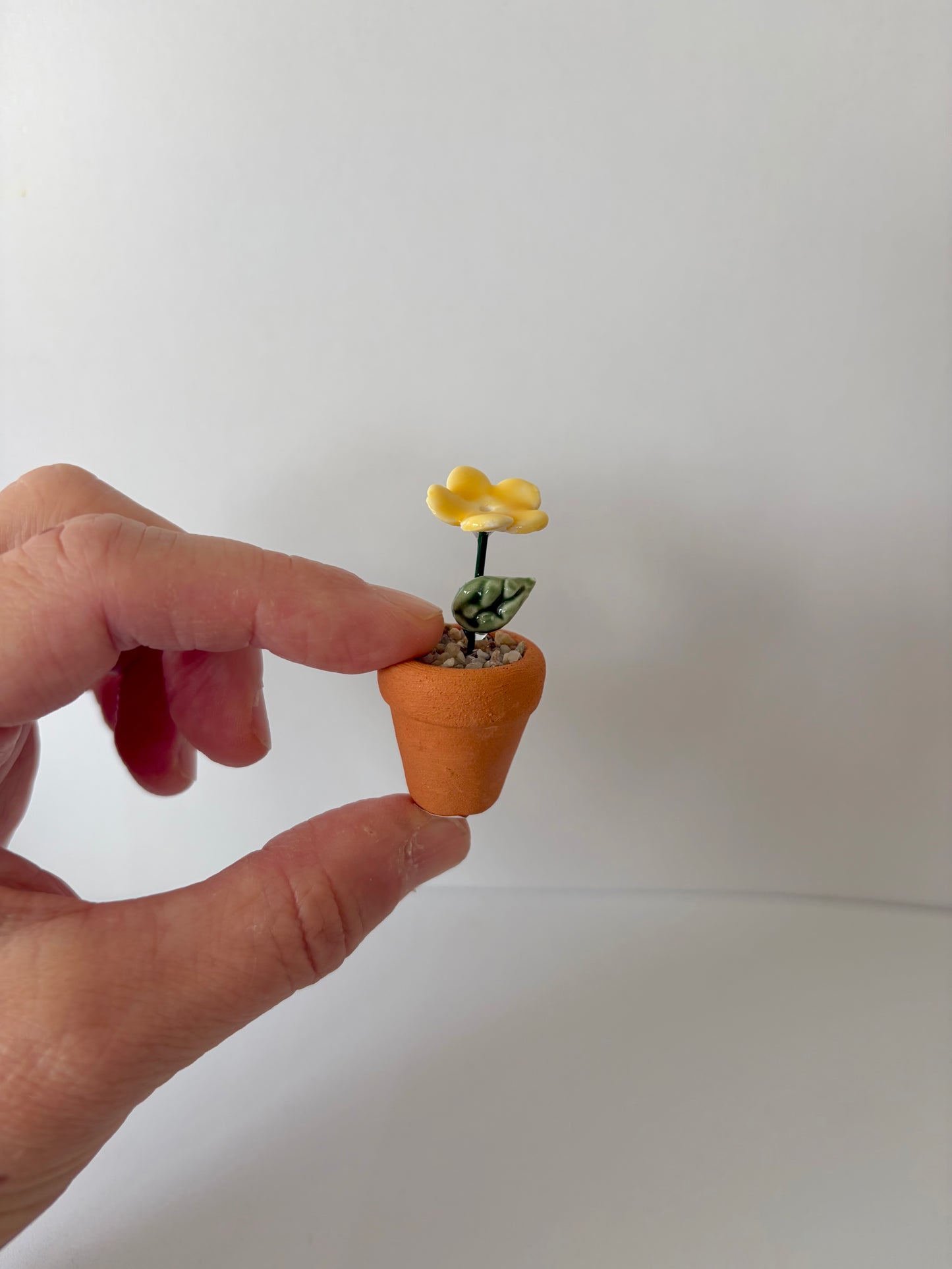 Yellow Mini Flower Pot