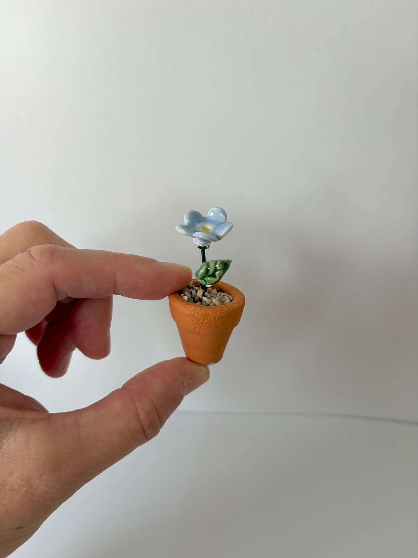 Forget-Me-Not Mini Flower Pot