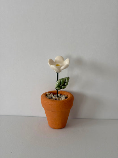 Daisy Mini Flower Pot
