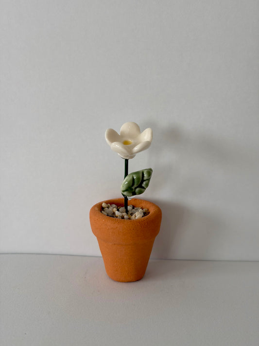Daisy Mini Flower Pot