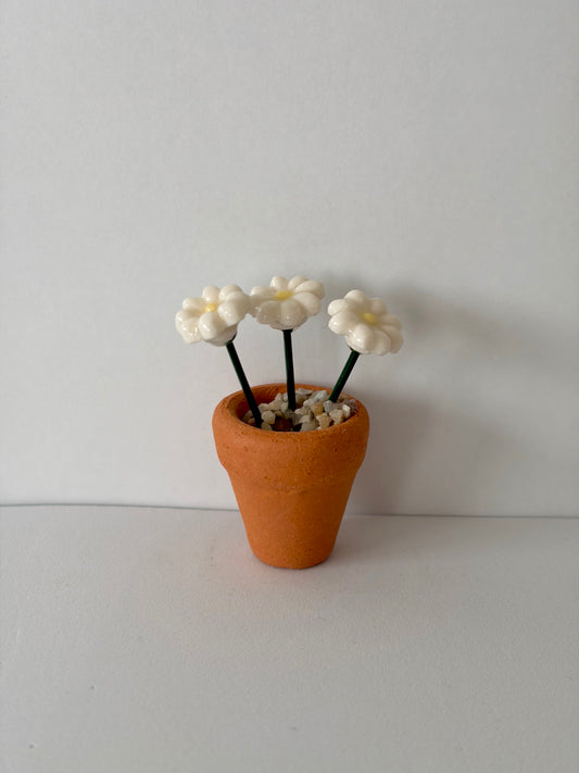 Daisies Mini Flower Pot