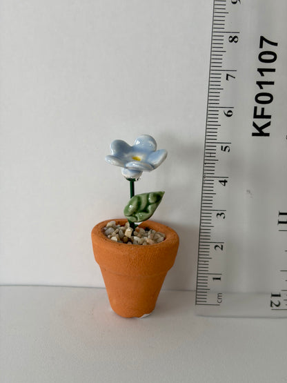 Forget-Me-Not Mini Flower Pot
